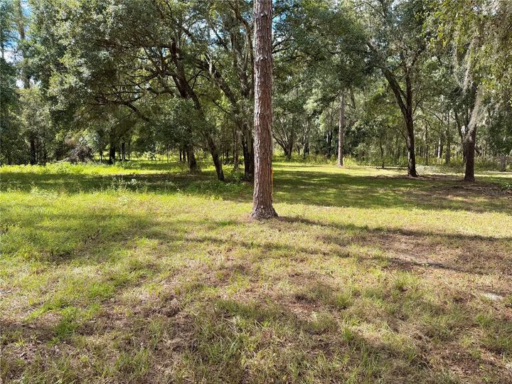 Property Photo: Bonsmara Drive FL 34736