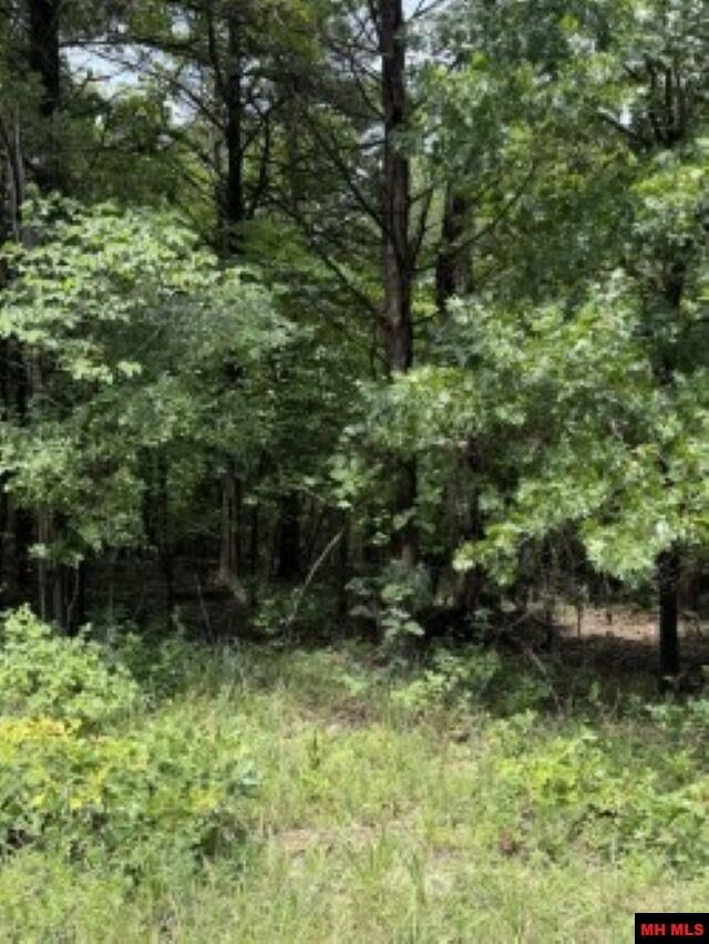 Property Photo:  Lot 61 Hebrides Avenue  AR 72653 