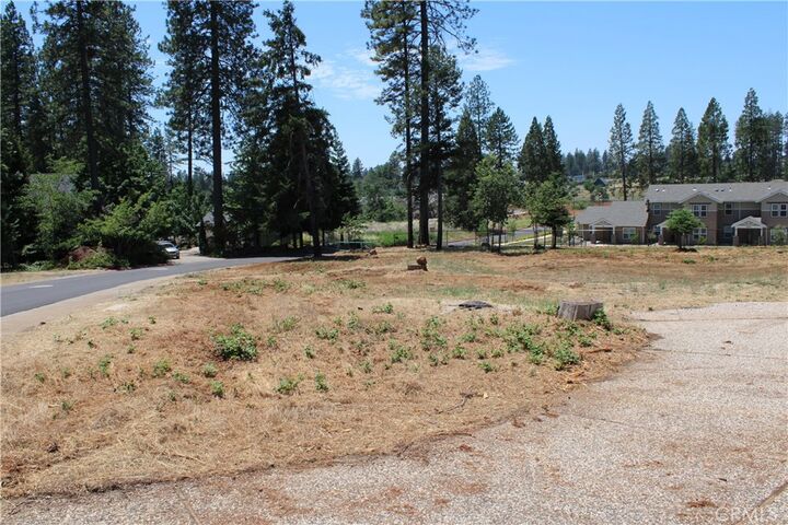 Property Photo:  1645 Puddle Duck Court  CA 95969 