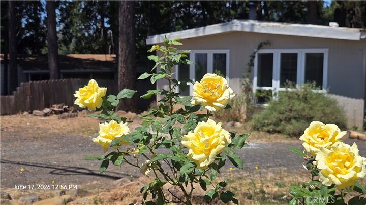 Property Photo: 6485 Ponderosa CA 95954