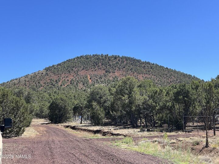 Property Photo:  7185 N Audrey Way  AZ 86046 