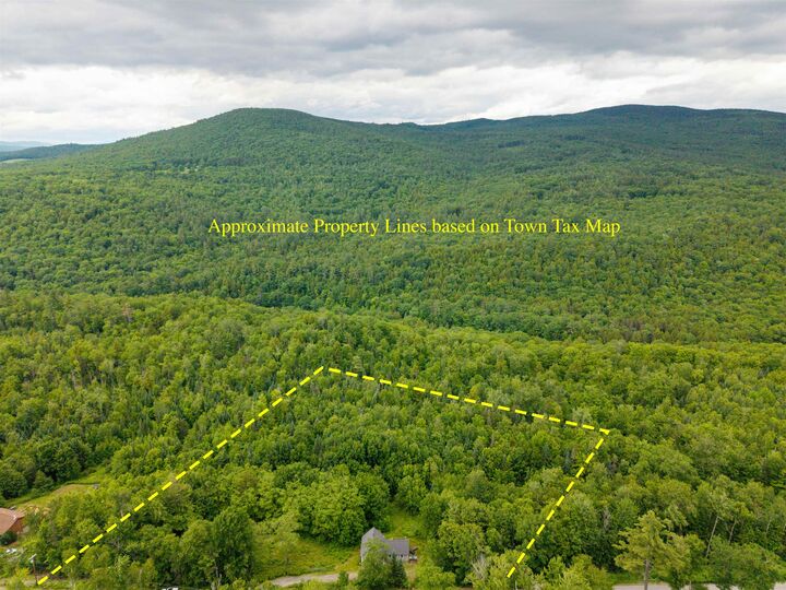 Property Photo:  391 Bradley Hill Road  NH 03740 