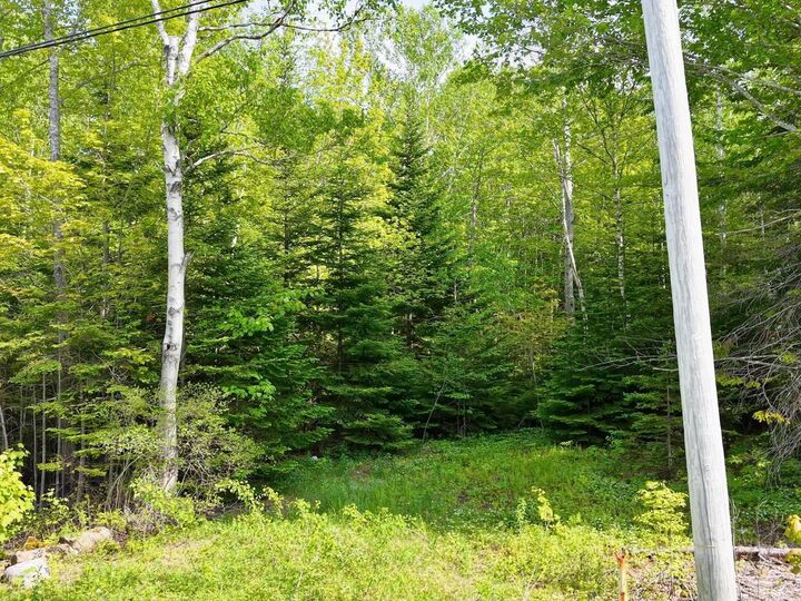 Property Photo:  Lot 2, 3, 6 Leitches Creek Rd  NS B2A 4A5 