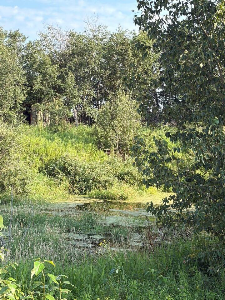 SE 26-52-3 W4 Twp Road 524 — photo 1