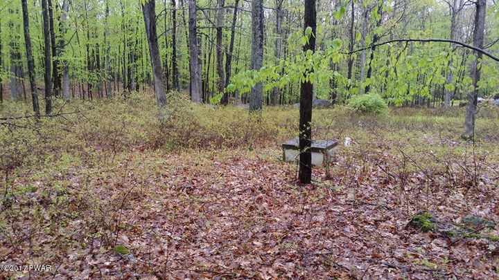 Property Photo:  6218 Oneida Way  PA 18337 