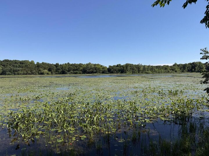 Property Photo:  Lots 47-50 W Lakeshore Drive  WI 53121 