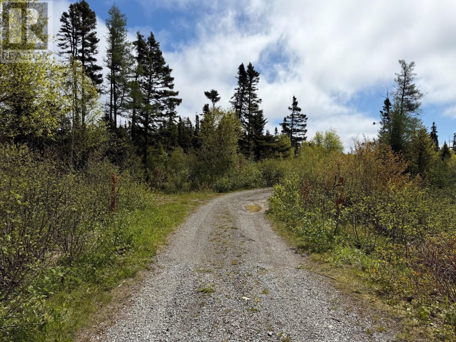 Property Photo:  0 Main Street  NL A0G 3R0 