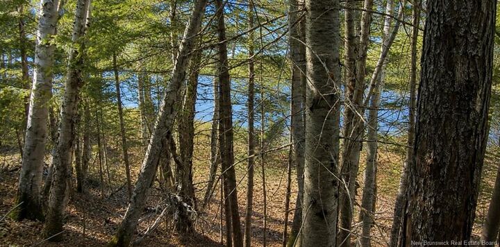 Photo de la propriété:  89 Acres Bay Du Vin River Road  NB E1N 5C1 