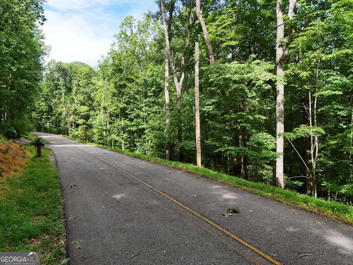 Property Photo:  Lot 131 Laurel Crossing  GA 30513 