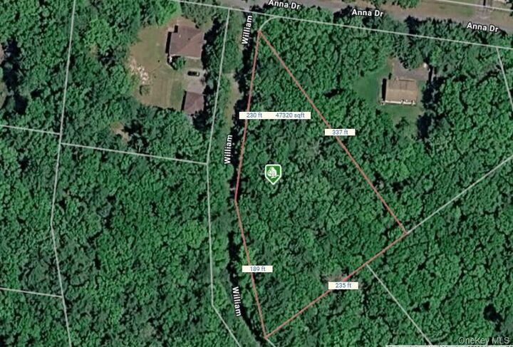 Property Photo:  Lot 27 William Street  NY 12737 