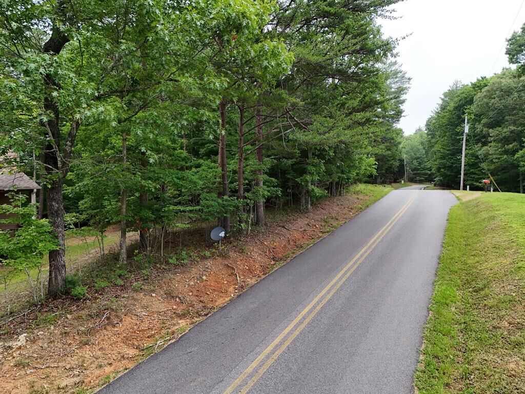 Property Photo:  Lot 3 Cook Henry Road  GA 30512 
