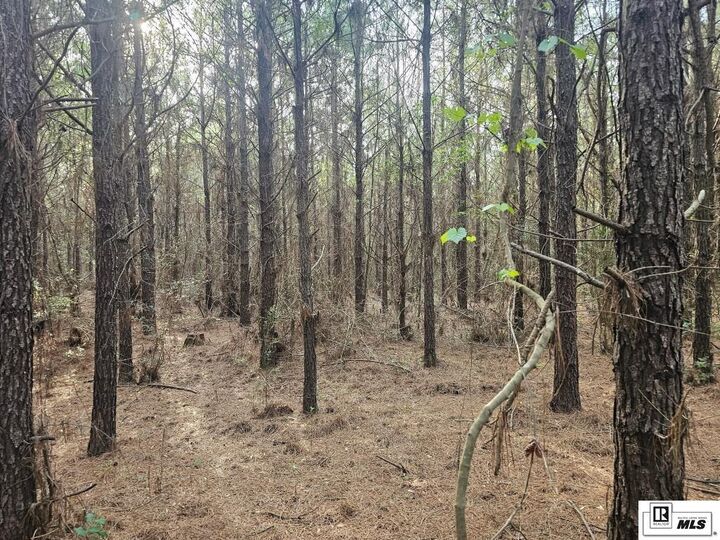 Property Photo: 000 County Line Road LA 71270