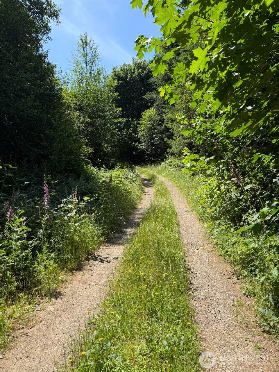 Property Photo:  434 W Bulb Farm Road  WA 98584 