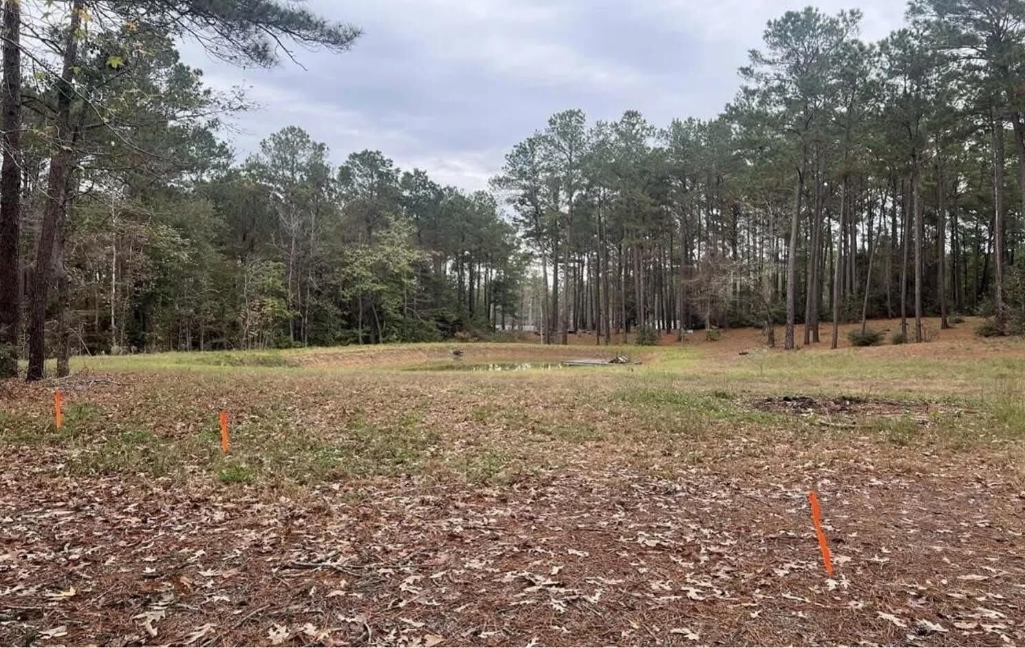 Property Photo:  768 County Road 219  TX 75931 