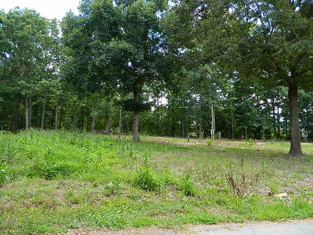 Property Photo:  118 Cothran Road  SC 29627 