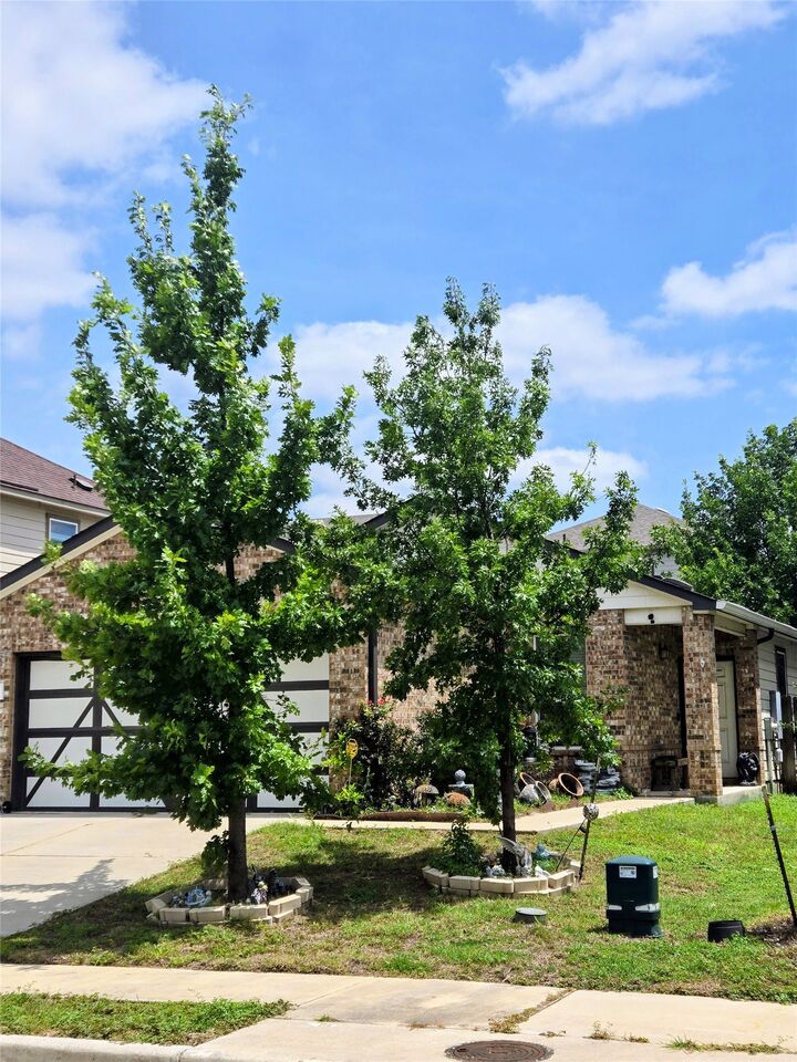 Property Photo:  910 Solitude Drive  TX 78660 
