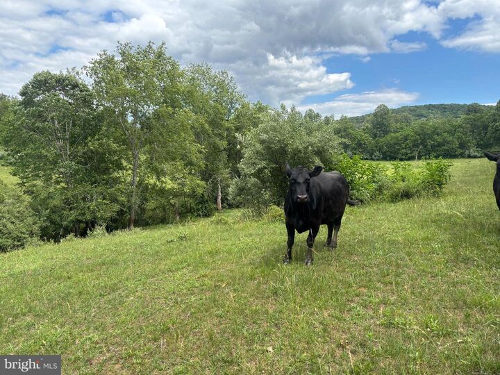 Property Photo:  14105 Lee Highway  VA 20106 