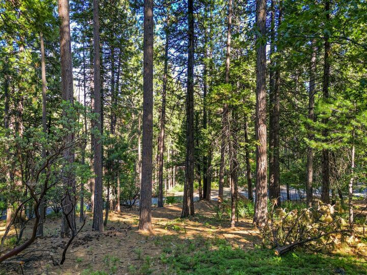 Property Photo:  2946 Venado Drive  CA 95223 