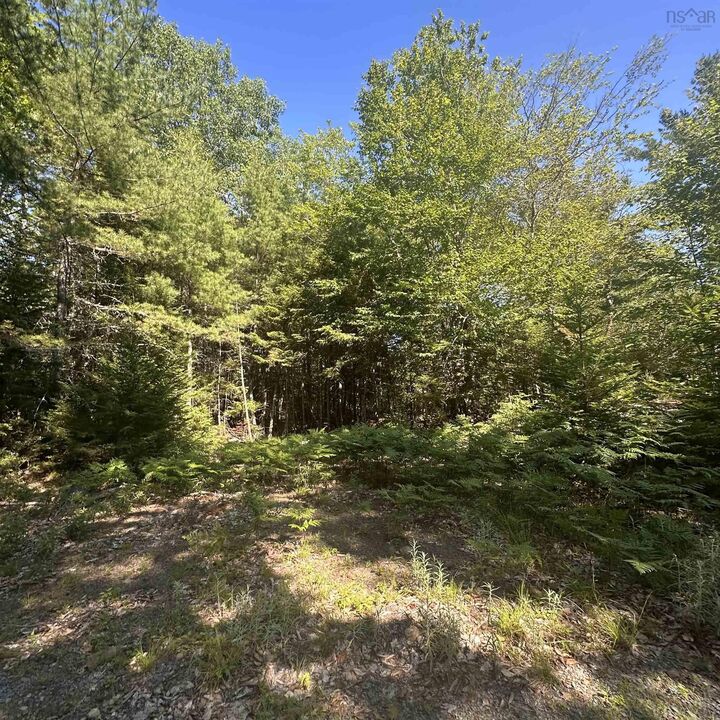 Property Photo:  (Pid 70241864) Wellington Road  NS B0T 1E0 
