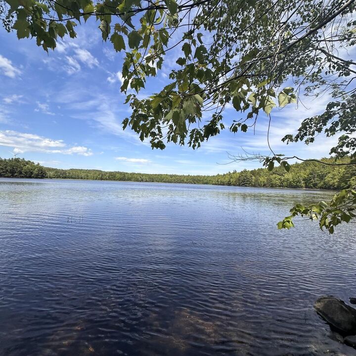 Property Photo:  Lot 7 Rhodenizer Lake Road  NS B4V 6A6 