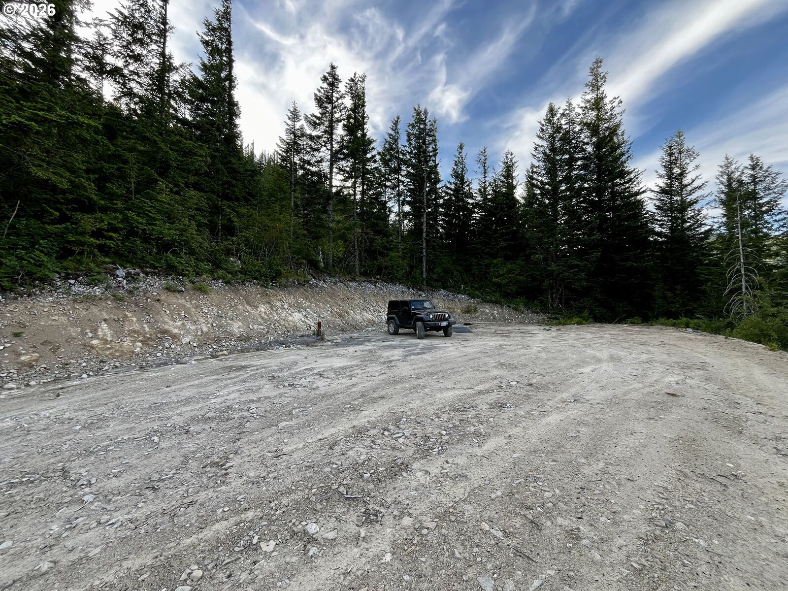Property Photo:  Snag Mountain Rd 110  WA 98671 