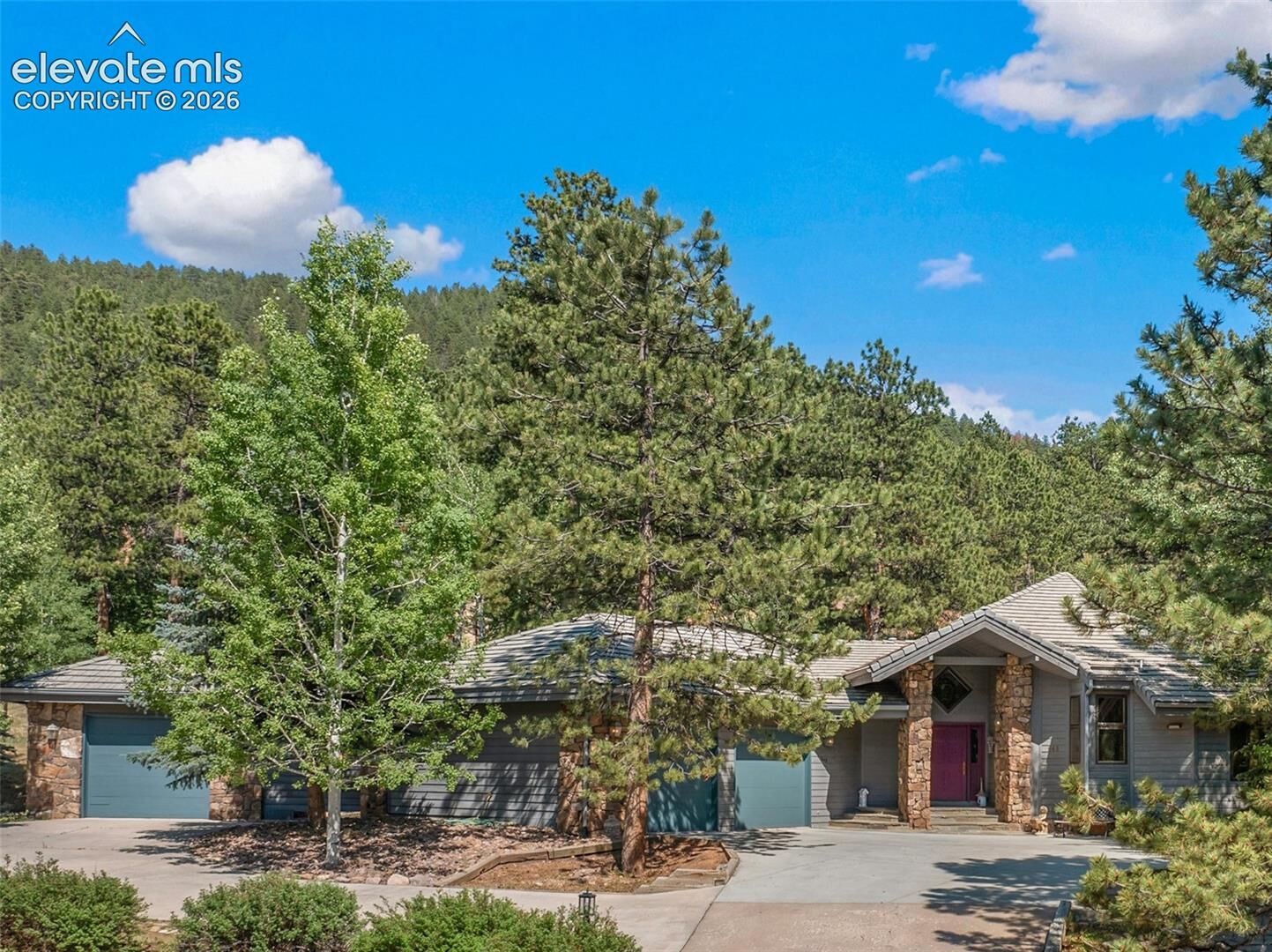 Property Photo:  945 Sun Valley Drive  CO 80863 