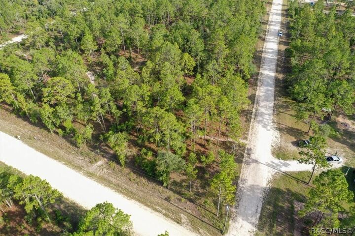 Property Photo:  0000 NE 131st Lot 10 Terrace  FL 32696 