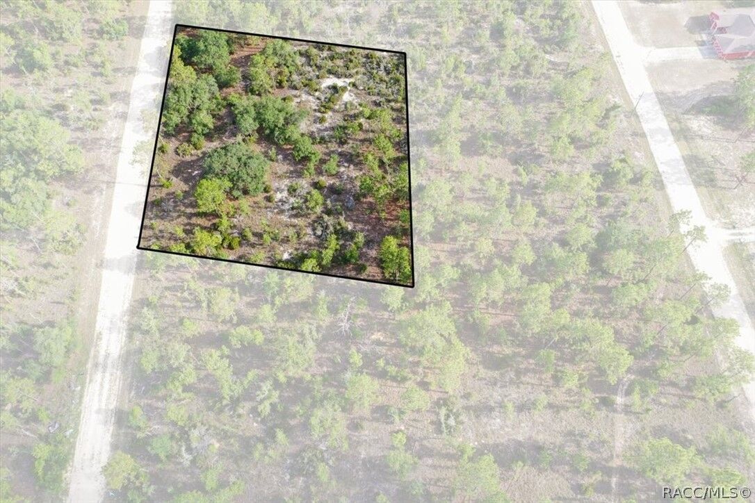 Property Photo:  0000 NE 132nd Lot 4 Terrace  FL 32696 