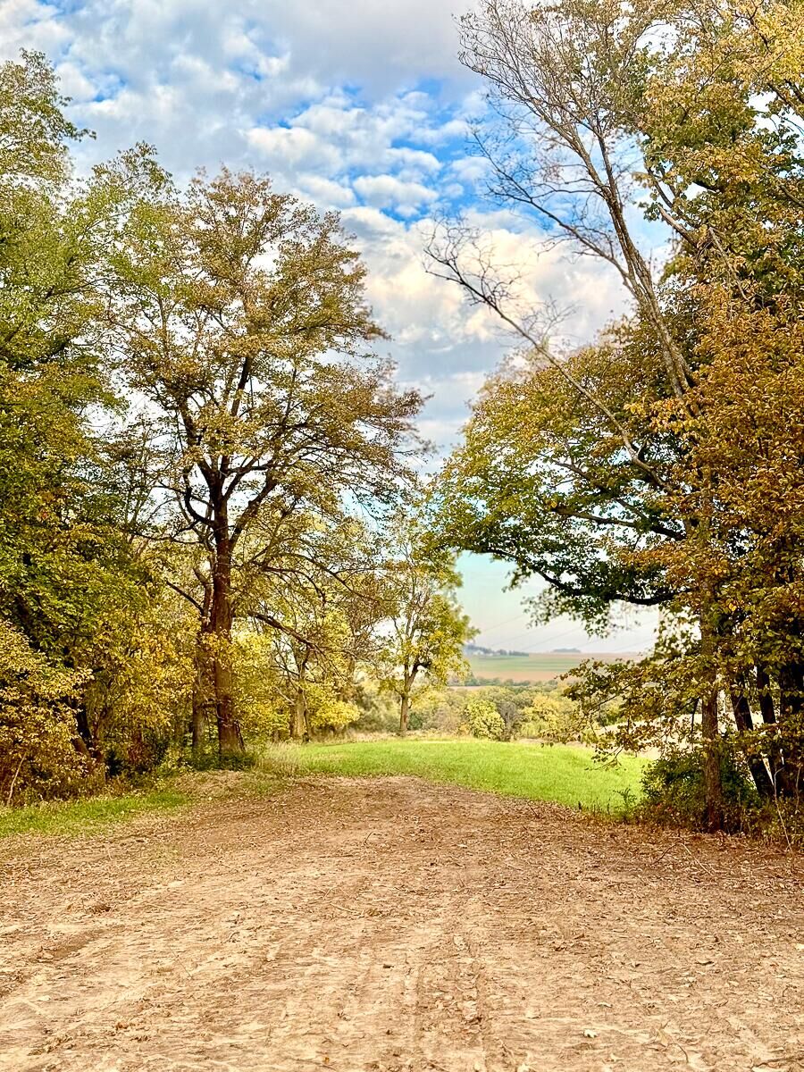 Property Photo:  40 Acres 305th  Street  IA 51551 