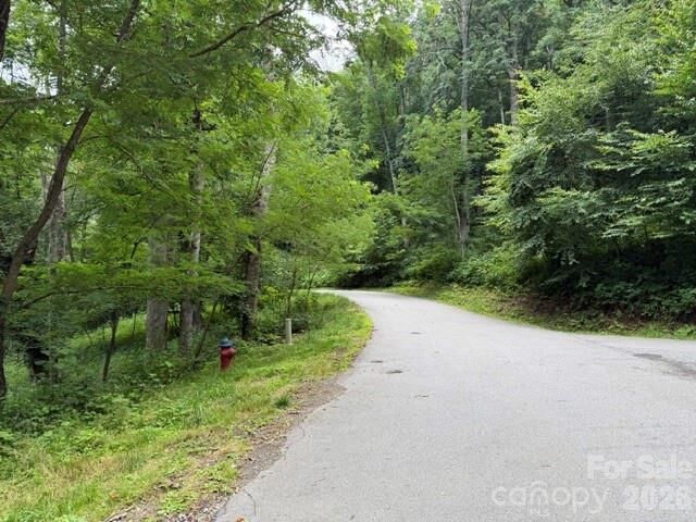 Property Photo:  Lot 6 Gadohi Trail 6  NC 28751 