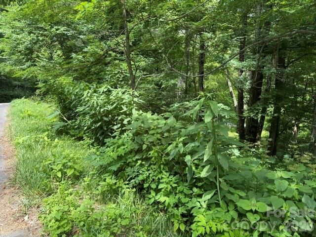Property Photo:  Lot 32 Toi Trail 32  NC 28751 
