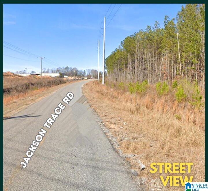 Property Photo:  0 Jackson Trace Road 0  AL 35096 