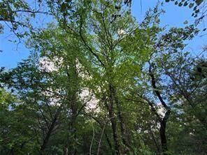 Property Photo: 0 County Road 4710 Lot 465 TX 75770
