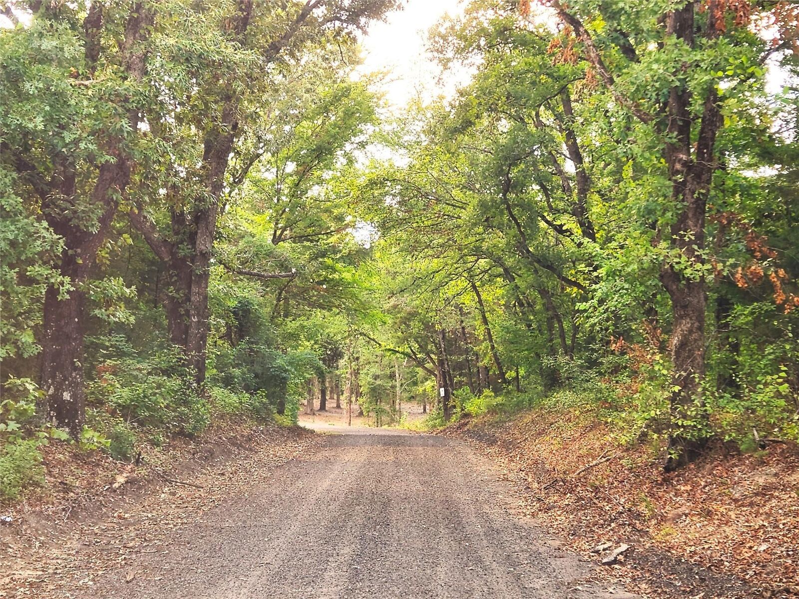 Property Photo: 0 County Road 4710 Lot 465 TX 75770
