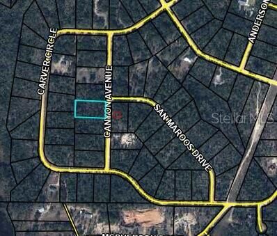 Property Photo: 0 Canyon Avenue FL 32420