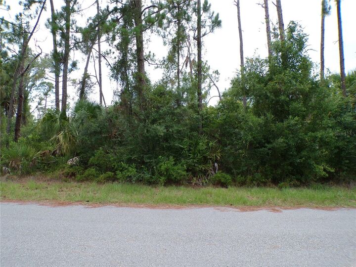 Property Photo: Lummus Street FL 34286