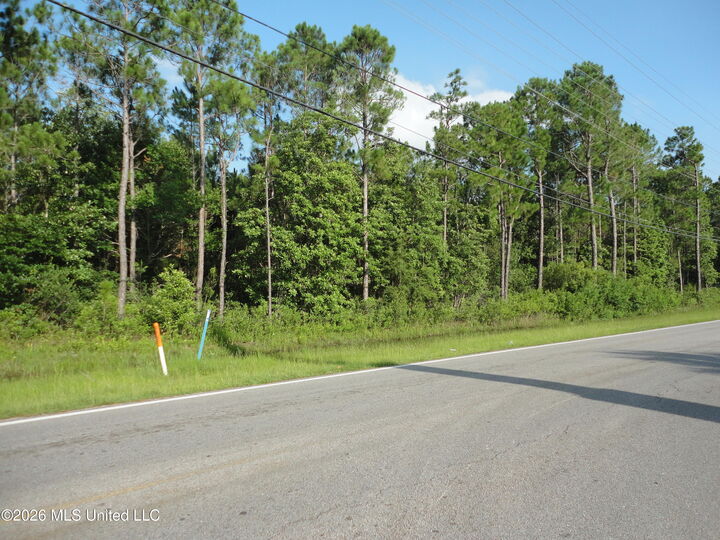 Property Photo:  Dolphin Drive  MS 39553 