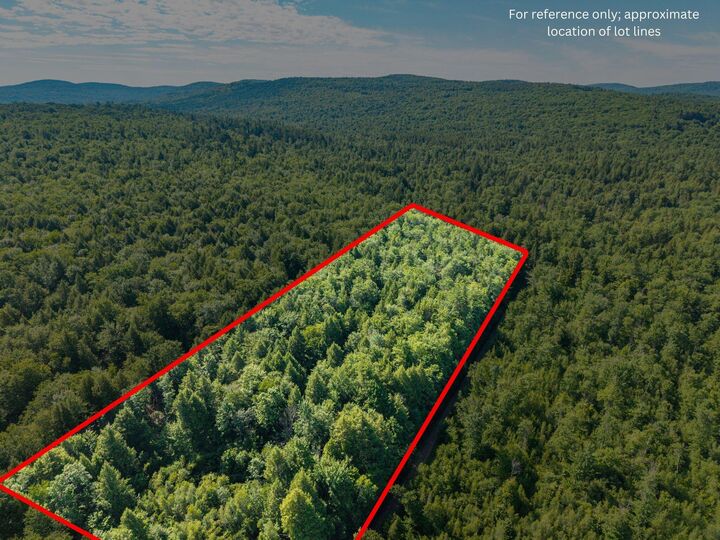 Property Photo: 129 Hobbs Swamp Road ME 04047
