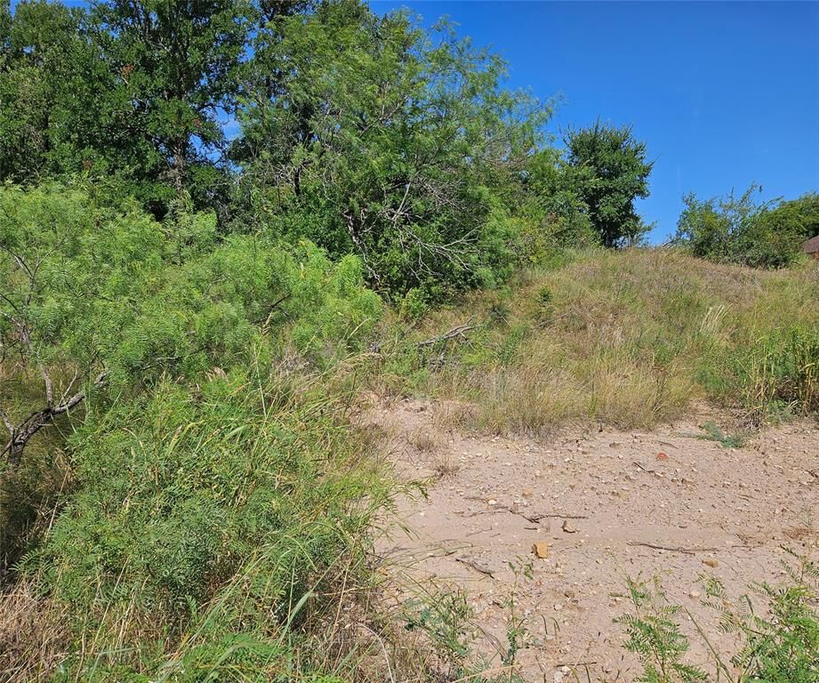 Property Photo:  0 Blue Fathom Drive  TX 76426 