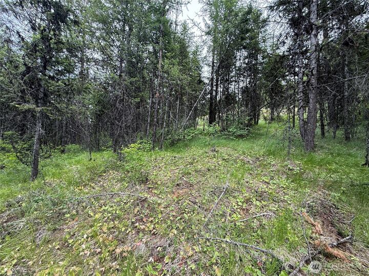 Property Photo: 0 Mule Deer Road WA 99166