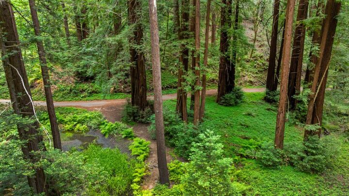 Property Photo: 27 Willis Road CA 95066
