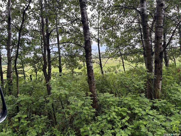 Property Photo:  Rural Address  SK S0J 0K0 