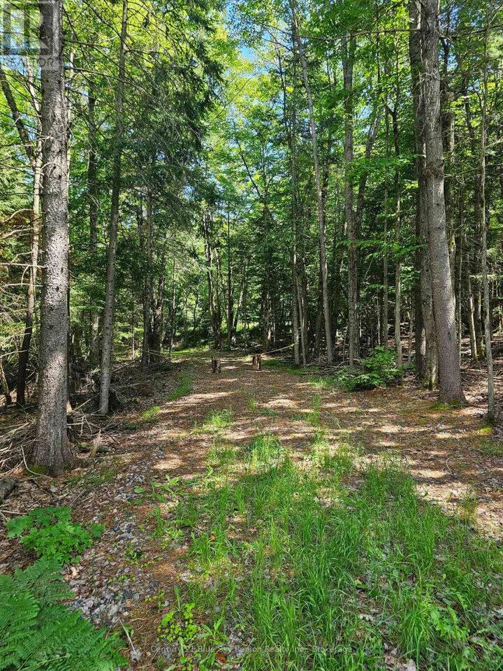 Property Photo:  4369 Highway 534  ON P0H 1W0 