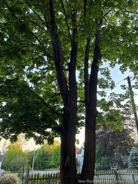 Property Photo:  Lot Edward Street  NB E5B 1N2 