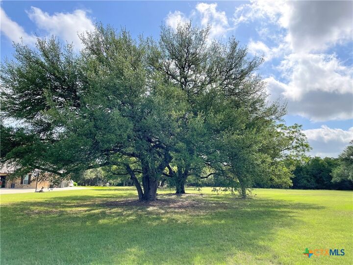 Property Photo:  3045 Rolling Meadow Drive  TX 76571 