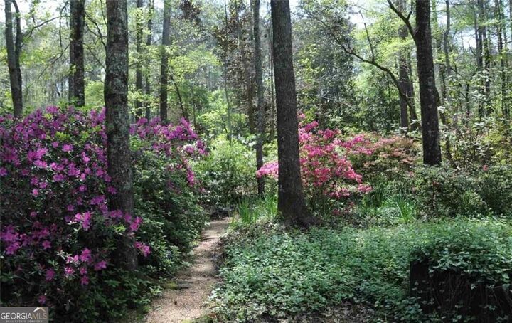 Property Photo: 385 Vaughn Road GA 30265