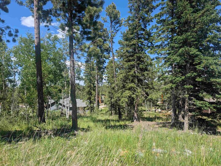 Property Photo:  Lot 22 Overlook Pass  SD 57754 