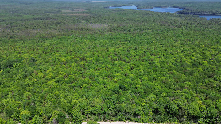 Property Photo:  Lot 4 Martins Ridge Road  ME 04634 