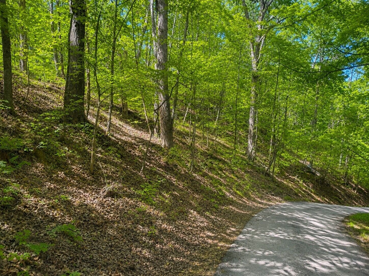 Property Photo:  0 Lakeside Dr  TN 37166 
