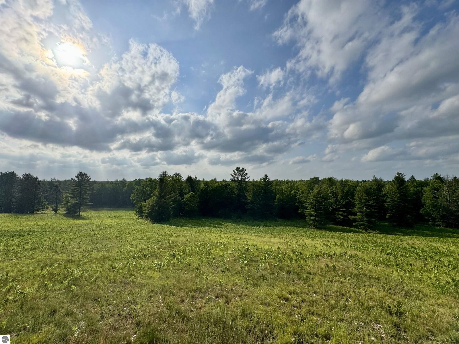 Property Photo: 4264 SW Bald Eagles View MI 49680